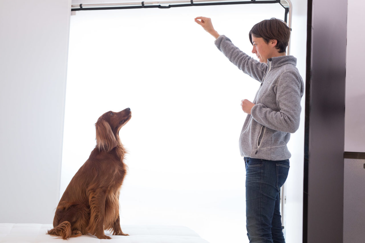servizio fotografico specializzato animali ritratto cane e padrone studio con assistente fotografo